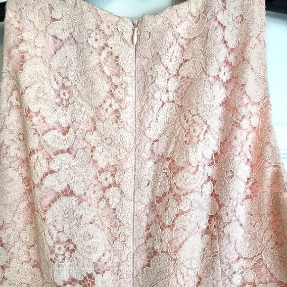 Maggie London size 10 pink lace midi dress - Picture 4 of 5